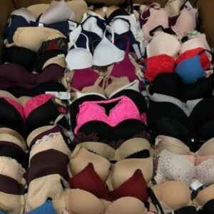 Alternative view of Bras and Panties Liquidation Pallet