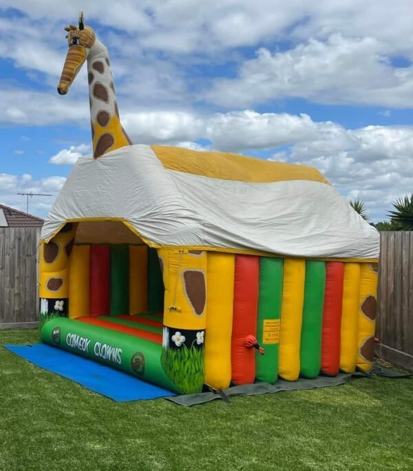 Jumping Castle & Water Slide Pallet Liquidation - Image 3