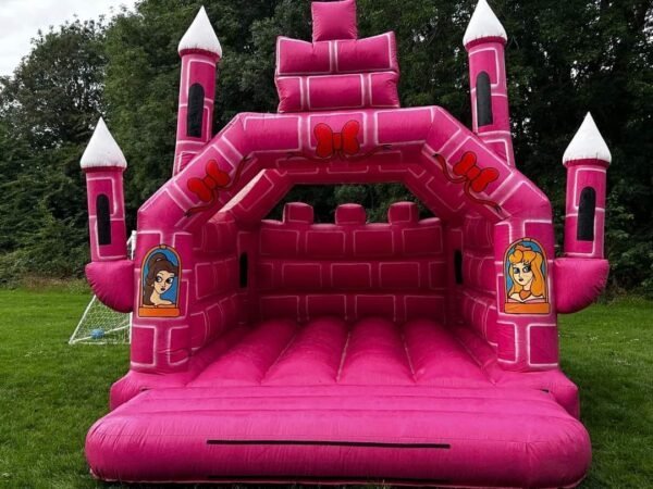 Jumping Castle & Water Slide Pallet Liquidation - Image 13