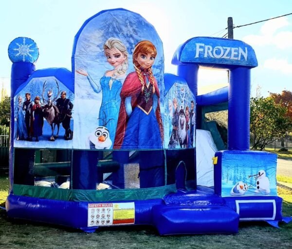 Jumping Castle & Water Slide Pallet Liquidation - Image 7